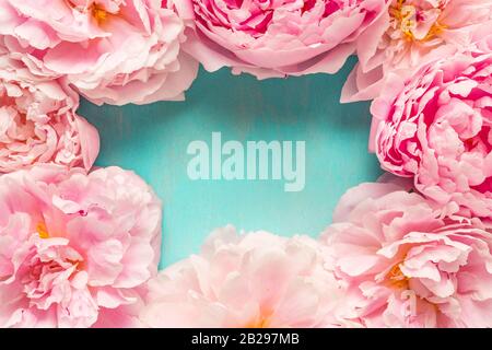 Rahmen aus rosafarbenen, knöchernen Blumen auf blauem Grund. Blumenzusammensetzung. Draufsicht mit Kopierbereich. Flaches Lay, Hochzeit oder Urlaub Stockfoto