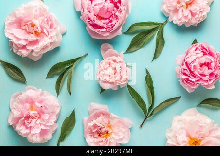Blumenzusammensetzung. Muster aus rosafarbenen, pfirstigen Blumen mit grünen Blättern auf blauem Holzhintergrund. Flaches Lay. Draufsicht. Hochzeits- oder Frühlings-Konzept Stockfoto