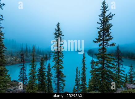 See im kalten Wald Stockfoto