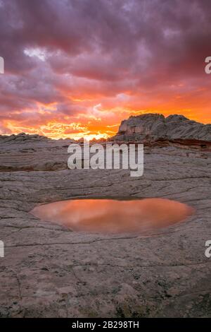 Sonnenuntergang, Reflexionen, Sandstein Felsformationen, White Pocket, Vermillion Cliffs National Monument, Paria Plateau, Arizona Stockfoto