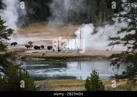 Der Yellowstone River im Yellowstone National Park, Wyoming, ist ein wunderbares Thermalbad Stockfoto