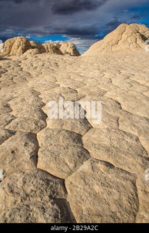 Sandstein Klippen, White Pocket, Vermillion Cliffs National Monument, Paria Plateau, Arizona Stockfoto