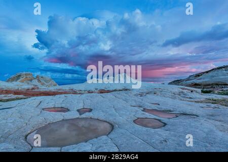 Sunrise, Reflections, Sandstone Bluffs, White Pocket, Vermillion Cliffs National Monument, Paria Plateau, Arizona Stockfoto