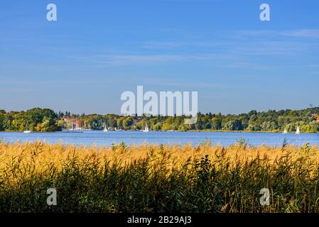 Naturnaher Blick auf die Bootssegel am Wannsee, Havel, von farblich verändertem Grünland auf der Wasserseite des Westlicher Düppeler Waldes, Berlin. Stockfoto