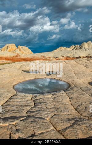 Reflexionen, Sandstein Klippen, White Pocket, Vermillion Cliffs National Monument, Paria Plateau, Arizona Stockfoto