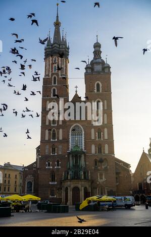 Krakow, Polen. 9. Oktober 2019 Blick auf den Rathausturm, wenn Vögel vorbeiziehen Stockfoto