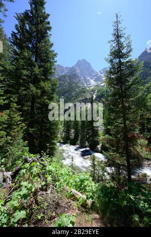 Der Fluss Rast Im Sommer Durch die Wyoming Wilderness Stockfoto