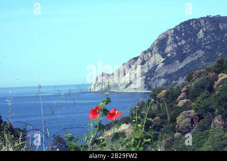 HE Cinque Terre ist ein Küstengebiet innerhalb Liguriens im Nordwesten Italiens. Es liegt im Westen von La Spezia und umfasst fünf Dörfer: Monterosso Stockfoto