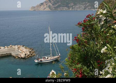 HE Cinque Terre ist ein Küstengebiet innerhalb Liguriens im Nordwesten Italiens. Es liegt im Westen von La Spezia und umfasst fünf Dörfer: Monterosso Stockfoto