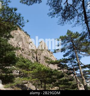 Gelbe Berge Huangshan, Provinz Anhui in China. Stockfoto