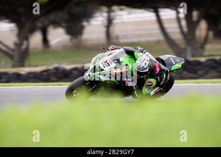 Alex Lowes (GBR), Kawasaki ZX-10RR, WorldSBK 2020. Freitagspraxis 1. Phillip Island Circuit, Victoria, Australien. Februar 2020 Stockfoto