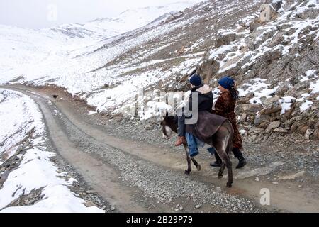 Frau und Junge mit Esel in Nurata, Usbekistan Stockfoto