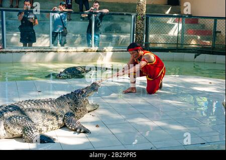 Thailand, Juli 2019 Krokodilschau auf der Krokodilfarm in Samutprakarn. Diese spannende Show ist bei Touristen sehr berühmt Stockfoto