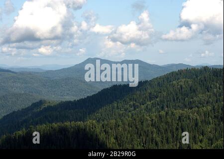 Blick auf die mit Nadelwald überwucherten Hochgebirge unter bewölktem Himmel. Altai, Sibirien, Russland. Stockfoto
