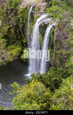 Whangarei Falls Scenic Reserve, Whangarei, Neuseeland, Freitag, 20. Dezember 2019. Stockfoto