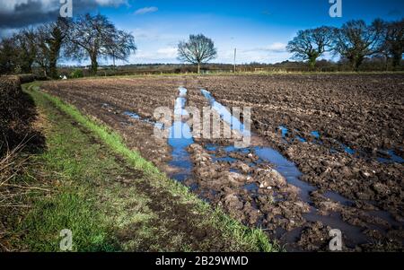 Tiefe Reifenspuren, die von einem Traktor in einem mit Regenwasser gefüllten Feld hergestellt werden. Stockfoto