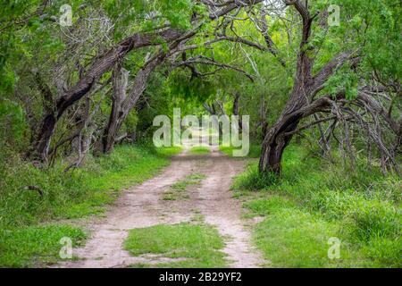 Ein gut gepflegtes Freizeitgelände im Estero Llano Grande State Park, Texas Stockfoto