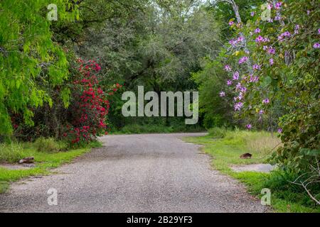Ein gut gepflegtes Freizeitgelände im Estero Llano Grande State Park, Texas Stockfoto