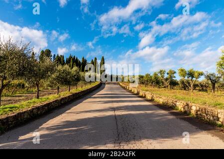 Malerische Aussicht auf die weinberge des chianti im Herbst in der Nähe der kleinen und berühmten Stadt Radda in Chianti Stockfoto