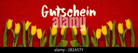 Baner Aus Gelben Tulpenblumen, Roter Hintergrund, Gutschein Bedeutet Gutschein Stockfoto