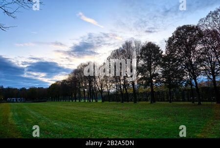 Spätsommersonnendurchbruch durch die Bäume auf einer mystischen Spur. Stockfoto