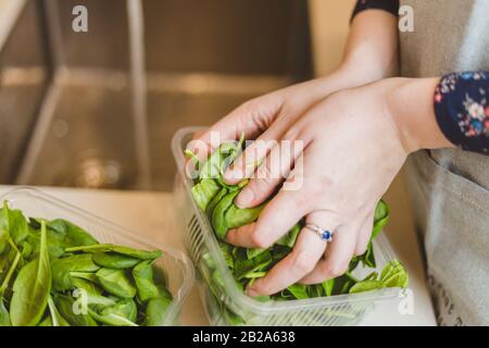 Waschen Spinatblätter in der Küche Stockfoto