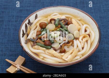 Japanische Sansai-udon-Nudeln in einer Keramikschale Stockfoto