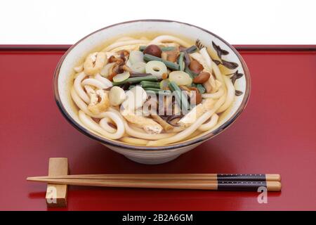 Japanische Sansai-udon-Nudeln in einer Keramikschale Stockfoto