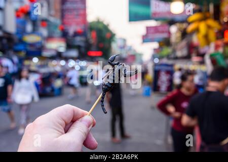 Gebratener Skorpion an einem Spieß, der häufig an Touristen auf der Khaosan Road, einer berühmten Wanderstraße mit Bars und Nachtclubs, in Bangkok, Thailand verkauft wird Stockfoto