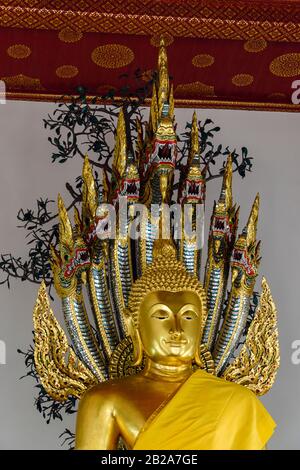 Statue des goldenen Buddha mit einer Safrangarbe, mit einer vielköpfigen Schlange, Wat Pho, Bangkok, Thailand Stockfoto