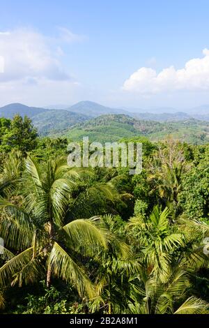 Baumbedeckte Dschungelhügel, Thailand Stockfoto