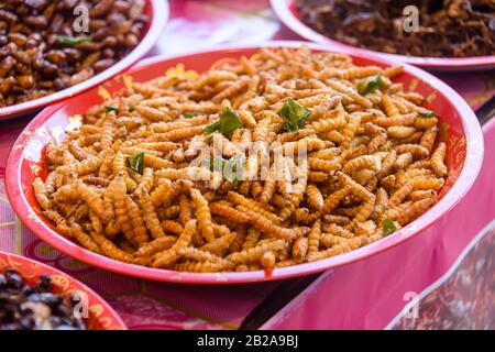 Schalen von frittierten Insektengruben zum Verkauf in einem thailändischen Markt für Straßennahrung, Phuket, Thailand Stockfoto