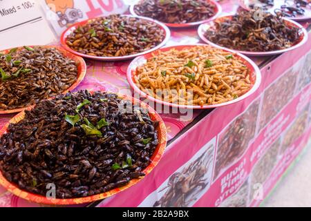 Schalen von frittierten Insektengruben zum Verkauf in einem thailändischen Markt für Straßennahrung, Phuket, Thailand Stockfoto