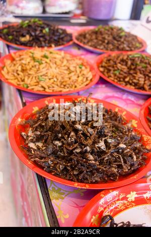 Schalen von frittierten Insektengruben zum Verkauf in einem thailändischen Markt für Straßennahrung, Phuket, Thailand Stockfoto