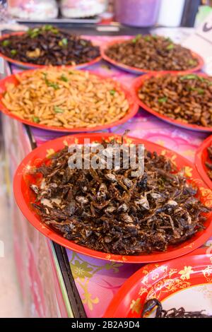 Schalen von frittierten Insektengruben zum Verkauf in einem thailändischen Markt für Straßennahrung, Phuket, Thailand Stockfoto