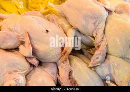 Rohhühner zum Verkauf in einem thailändischen Fleischerstall auf dem Lebensmittelmarkt, Thailand Stockfoto