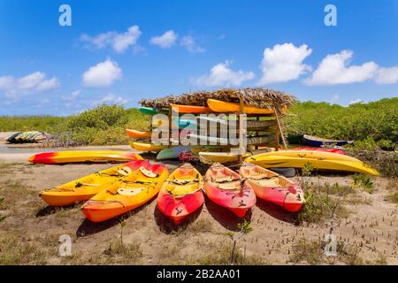 Viele farbenfrohe Kajaks in Mangrovenwald auf Bonaire Stockfoto