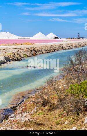 Landschaft mit rosafarbenem und blauem Wasser in der Salzindustrie auf der Insel Bonaire Stockfoto