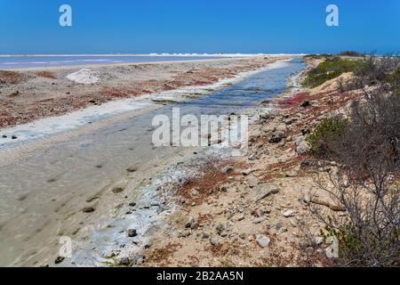 Bach in der Nähe von Salzsee für die Salzindustrie auf der Insel Bonaire Stockfoto