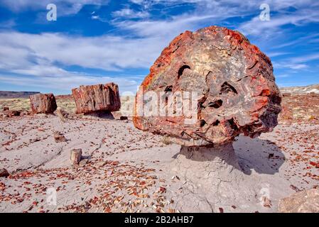 Broken Petrified Wood, Jasper Forest, Petrified Forest National Park, Arizona, USA Stockfoto