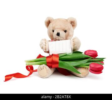 Blume, Blumen, Pflanze, Teddy, Kuscheltier, entschuldigen Sie