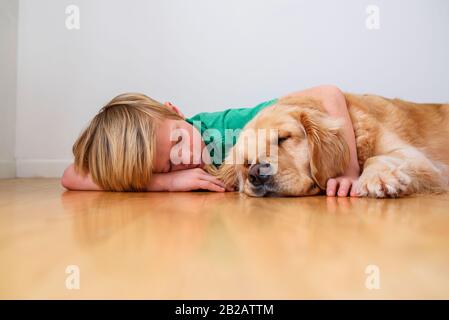 Junge, der auf dem Boden liegt und einen goldenen Hund umknudelt Stockfoto