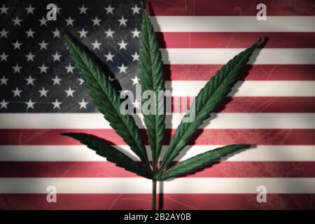 Cannabisblatt auf amerikanischer Flagge, USA Stockfoto