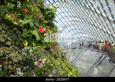 Botanische Gärten, Singapur Stockfoto