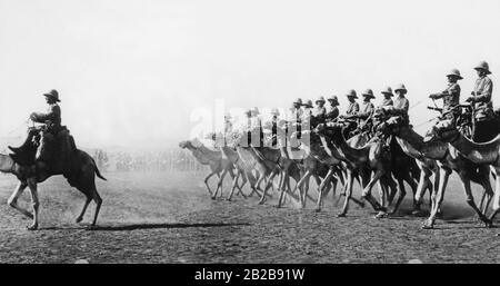 British Camel Rider Corps unter der Führung von Herbert Kitchener nach der gewonnenen Schlacht von Omdurman, in der Nähe des heutigen Khartums. Dies war die entscheidende Schlacht zur Beendigung des Mahdi-Aufstands, der von 1881 bis 1899 stattfand und sich gegen die angloägyptische Herrschaft in den sudanesischen Provinzen richtete. Stockfoto