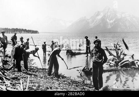 Civilian Conservation Corps (EIN Arbeitserleichterungsprogramm): Arbeiter säubern den Jackson Lake (Treibholz von einem Staudamm). Stockfoto