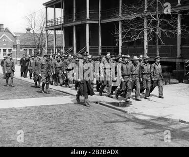 Civilian Conservation Corps (Programm zur Schaffung von Arbeitsplätzen): Roosevelt Forest Army praktiziert bis märz. Stockfoto