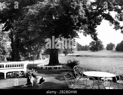 Terrasse des Schlosses Neuhardenberg in Brandenburg. Stockfoto