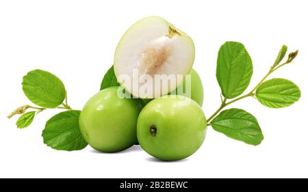 Grüne Jujubelfrucht isoliert auf weißem Grund Stockfoto