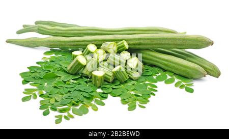 Moringa oleifera isoliert auf weißem Hintergrund Stockfoto